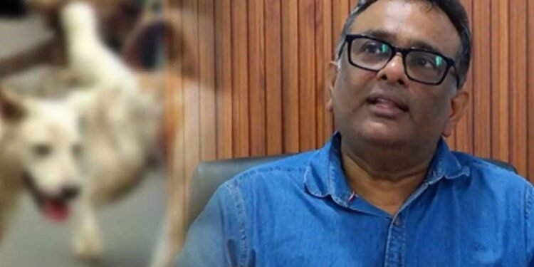 GMOA வெளியிட்ட கருத்திற்கு கால்நடை வைத்தியர்கள் எ